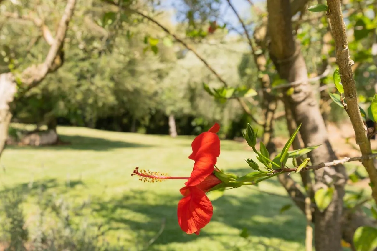 Murtera- Traditional Country Manor House For 9 People 5 Bedrooms And 4 Bathrooms Near Sant Llorenc Holiday home Manacor (Mallorca)